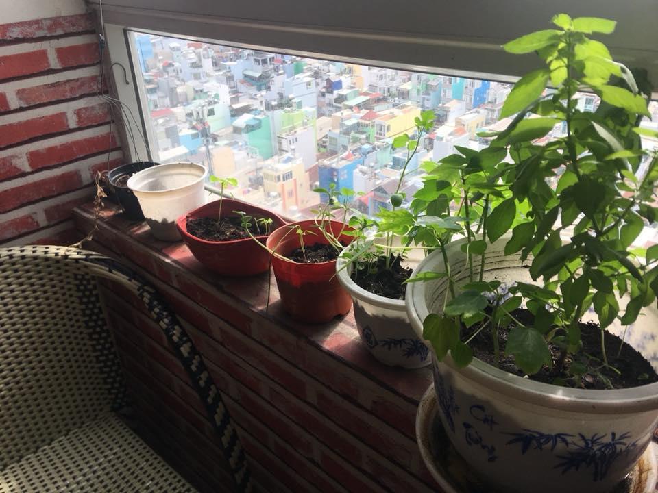 Skygon Hostel Thành Pho Ho Chí Minh Esterno foto